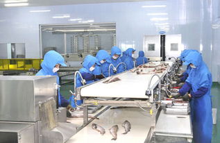 葛麻食品厂正在生产优质水产加工品